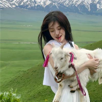 华山论剑之东邪西毒